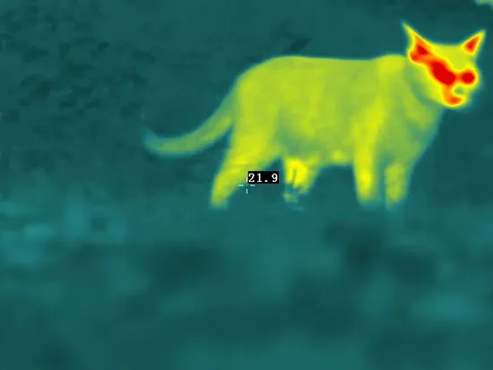 Uncooled LWIR Thermal Imaging Infrared Camera Core for Animal Temperature Measurement 